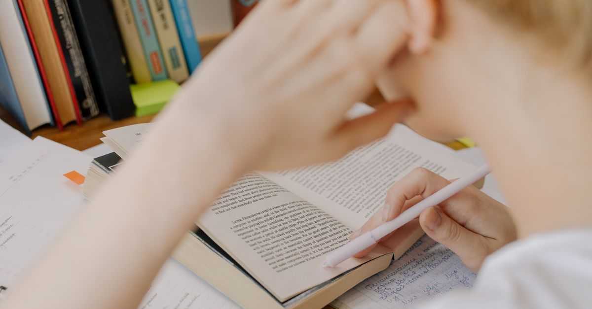 IELTS Practice Test — Grammar, Vocabulary & Reading